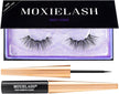 - Premium Magnetic Eyelashes - No Irritation of Glue - Natural & Beautiful (Lash Kit, Sassy)